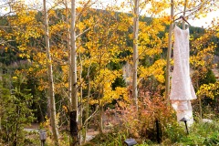 JeffreyGrounds-Photography.Michelle-Joes-Wedding-Day.10-11-24.Dillon-CO.0091