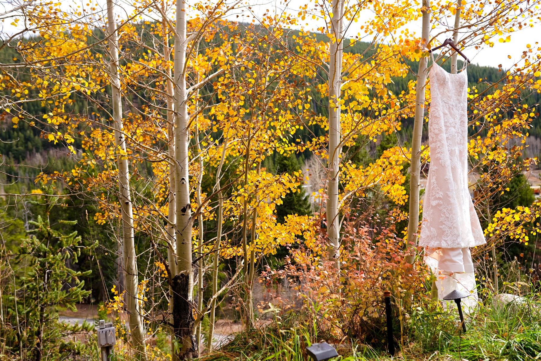 Michelle & Joe's wedding in Dillon, Colorado